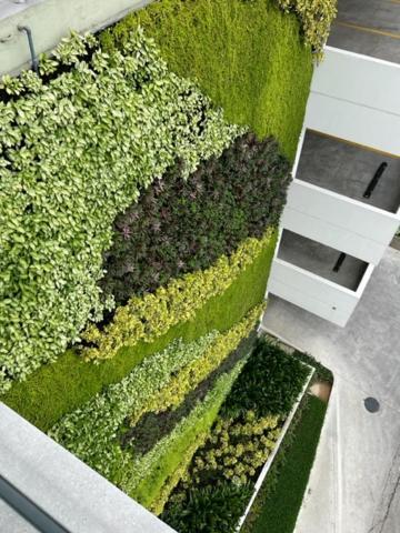 New Luxury Apartment With King - Size Bed Ceibos 瓜亚基尔 外观 照片